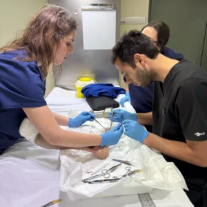 TÉCNICAS QUIRÚRGICAS EN CIRUGIA DE ANTEPIE